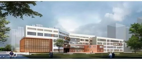 敲定 河西驚現(xiàn)稀缺小戶型學區(qū)房,總價300萬起 還是 鐵片