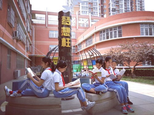 北京市朝陽師范學校附屬小學 探索思維生長,培育核心素養