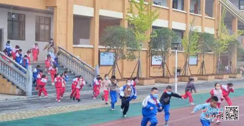 濂溪區蓮花鎮中心小學 消防知識進校園 防范未 燃 筑安全 組圖