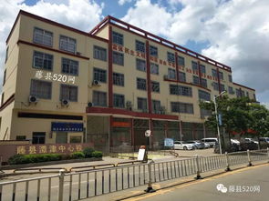 藤縣第五小學 朝陽小學 潭津中心校2018年一年級新生招生驗證通知