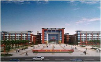 從幼兒園到大學(xué),武漢人擠破頭都想去的學(xué)校竟是這些