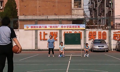 白家莊小學、垂楊柳中心小學與朝陽中心小學對比分析